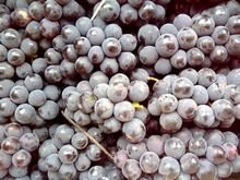 Black Grapes